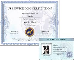 Maybe you would like to learn more about one of these? Us Service Dog Certification Home Facebook