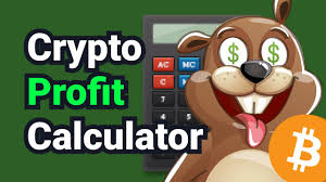 So you don't use your capital to trade crypto directly, but indirectly. Crypto Profit Calculator Youtube