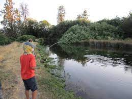 Hat Creek Powerhouse Ii Syns Twins And Fins