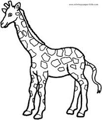 There are so many animals in the world that, of course, we were not ale to make pages with all of them, but at least we tried our best to deliver as … 19 Zoo Ideas Zoo Animal Coloring Pages Coloring Pages