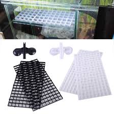 4 59 Gbp 2pcs Grid Isolate Board Divider Fish Tank Bottom Filter Tray Egg Aquarium Crate Ebay Home Garden Fish Tank Aquarium Sump Aquarium Setup