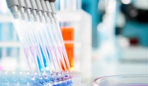 Preclinical Studies Drug Interactions Stock Photography Free Clinic