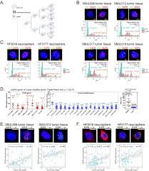 Mar 21, 2021 · for an outline of the librivox audiobook production process, please see the librivox recording process. Live Cell Imaging Shows Uneven Segregation Of Extrachromosomal Dna Elements And Transcriptionally Active Extrachromosomal Dna Clusters In Cancer Biorxiv