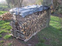 Wood Pile Seasoning Palettes On The Ground A Tree At One End Metal Bars At The Other And A Tarp Across The Top Wood Wood Pile Backyard