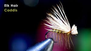 Maybe you would like to learn more about one of these? Elk Hair Caddis Dry Fly Mcfly Angler Fly Tying Tutorials Youtube