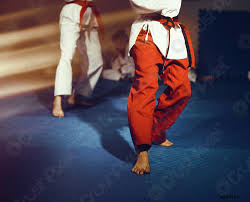 Taekwondo Athleten nackte Füße Kampfsport Bewegung auf dem Boden - Foto  vorrätig 299141 | Crushpixel