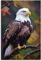 Amazon.com: SUUIM Bald Eagle (47) Decorative Painting Canvas ...
