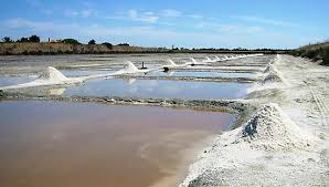 How Salty is the Sea? | Science Project