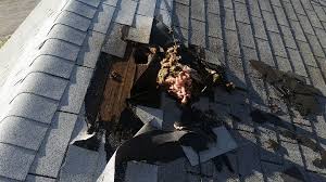 The raccoons may make the noise and the babies when they are in the attic, they can make a certain type of crying. Noises In The Attic Virginia Wildlife Removal