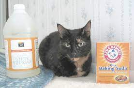 Cat Friendly Cleaning Products The Conscious Cat