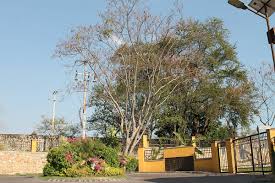 Yautepec, Morelos - Wikipedia