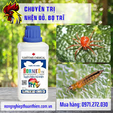 Borneo 11SC