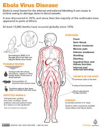 Selanjutnya dna virus akan masuk ke inti sel inangnya, menyisip ke dalam dna inangnya. Drc New Ebola Virus Outbreak Days After Previous Epidemic Ends Ebola News Al Jazeera