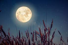 More meanings for luna piena. Luna Del Mais L Orario Migliore Per Ammirare La Strana Luna Piena Che Non Si Verifica Da 3 Anni Greenme
