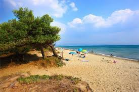 Facilmente raggiungibile da siena e firenze, follonica offre miglia e miglia di bellissima spiaggia libera. Le Spiagge Piu Belle Della Costa Toscana Tra Livorno E La Maremma