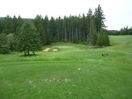 7263 west belfair valley rd. Gold Mountain Golf Club Olympic Course Tiger Golf Traveler