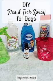 Account Suspended Flea And Tick Spray Flea And Tick Flea Spray For Dogs