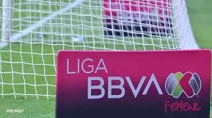 We did not find results for: Liga Mx Femenil Dias Y Horas De La Liguilla Cuartos De Final Guardianes 2021 Futbol Total