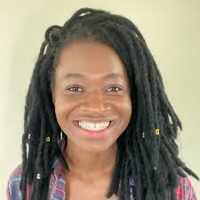 Voyage has always believed that tomorrow will be better than today. We  continue to believe this. We started Voyage because we felt the media often  ignored stories that didn't fit their agenda. They ...