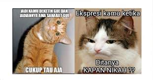 13 Foto Kucing Diedit Jadi Meme Ini Kocak Dan Bikin Gemes Download Top 30 Kucing Berantem Gifs Find The Best Gif On Gfycat Download In 2020 Animals Cats Wallpaper