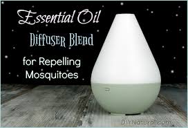 In fact, diffuser essential oils are flammable so keep away from open flames. Essential Oil Mosquito Repellent Blend For Use In Your Diffuser