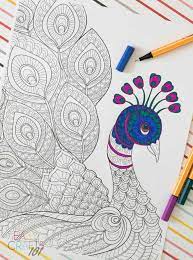 Many people consider that the beautiful fan is a tail of a peacock, but this opinion is incorrect. Free Adult Coloring Page Peacock Easy Crafts 101