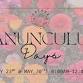 Ranunculus Days