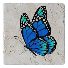 Vibrant Color Butterfly Trivet Zazzle Com Butterfly Art Drawing Butterfly Art Painting Butterfly Drawing