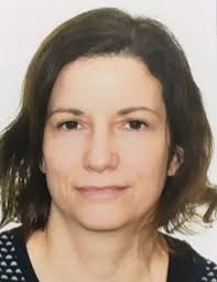 The Field Meditation