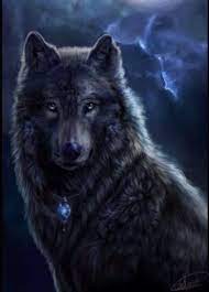 Shade Alpha Male Me No Mate Pups Or Crush Kind Wise Loyal Wolf Love Wolf Spirit Black Wolf