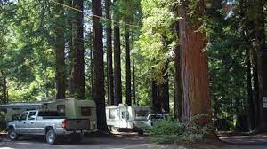 Address, phone number, redwood national park reviews: Camping On The Redwood Coast