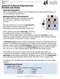 Bacteria reproduce asexually by a process called. Sexual And Asexual Reproduction Inquiry Labs By Kesler Science Tpt