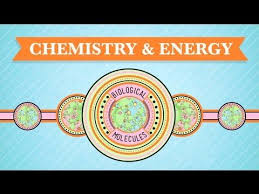 Biological Molecules You Are What You Eat Crash Course Biology 3 Chemistry For Kids Chemistry Teacher Material
