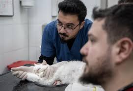 Kocaman bir kalbi var... Amansız hastalığın pençesindeki Lucy'ye özel  ihtimam