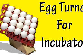 Egg Turner For Incubator 45 Degree Rotation Eggs Incubator Chicken Incubator