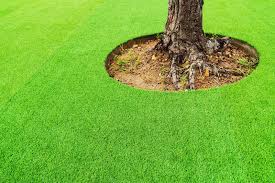 Artificial turf, or grass, is most commonly used on athletic fields, where placing it over the roots of a tree is not usually an issue. Faqs On Incorporating Live Plants With Synthetic Grass In Stockton