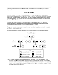 Pedigree Worksheet