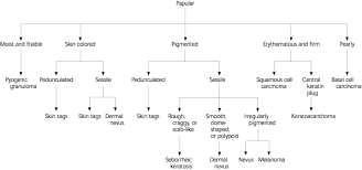 Surgery is the only reliable way to remove skin lesions. Common Benign Skin Tumors American Family Physician