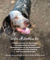 Hundespruche So Wahr Dog Quotes Dogs Funny Animal Quotes