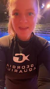 Dolphin Quest Our sea lions wanted to get in