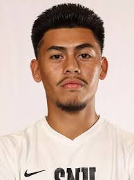 Luis Roche-Castaneda