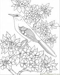 39+ mockingbird coloring pages for printing and coloring. Mockingbird Coloring Page Coloring Home