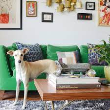 It looks a bit like suede, is simple to clean and maintain, and wears well. Best Sofa Fabrics For Pet Owners Apartment Therapy