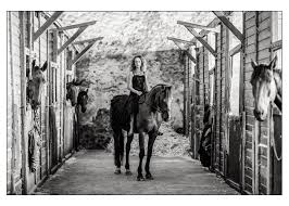 Epingle Sur Equestrian Lifestyle