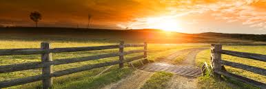 Obituary of George Freeman Cress