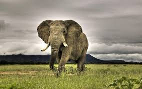 Maybe you would like to learn more about one of these? South Africa Wallpapers Wallpaper Cave