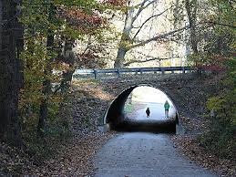 Upload a photo of your pet at ridley creek state park! Ridley Creek State Park A Pennsylvania State Park Located Near Abington Ambler And Ardmore