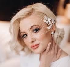 Petite Birdcage Veil With Headpiece, Silver Crystal Birdcage Veil, Ivory  Cage Veil, Silver Crystal Bird Cage Bridal Veil