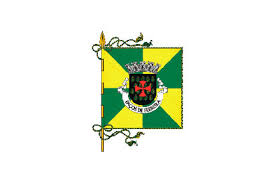 Check spelling or type a new query. Pacos De Ferreira Freguesia Flag Available To Buy Flagsok Com