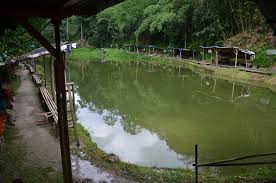Liburan ke tempat wisata di perancis, seakan telah menjadi definisi bagi sebuah perjalanan romantis. 6 Kolam Pancing Ini Adalah Port Terbaik Buat Kaki Pancing Lepaskan Gian